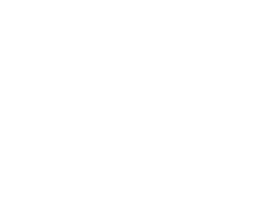 INFN logo