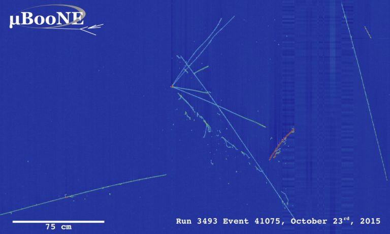 Event display of a neutrino interaction candidate in the MicroBooNE detector.